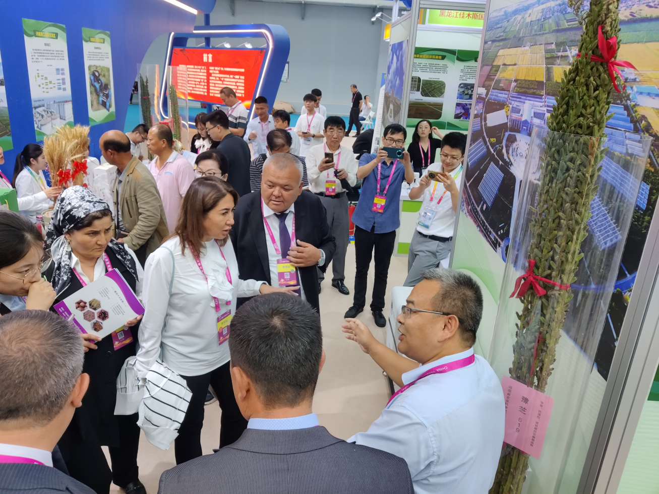 说明: //didiaozb.net/__local/D/F6/4A/3E76EBCE6770F152EC27289137C_CF625677_70A01E.png